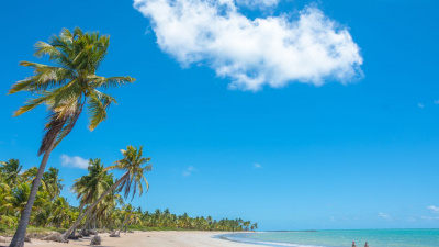 Macei - Praia de Ipioca